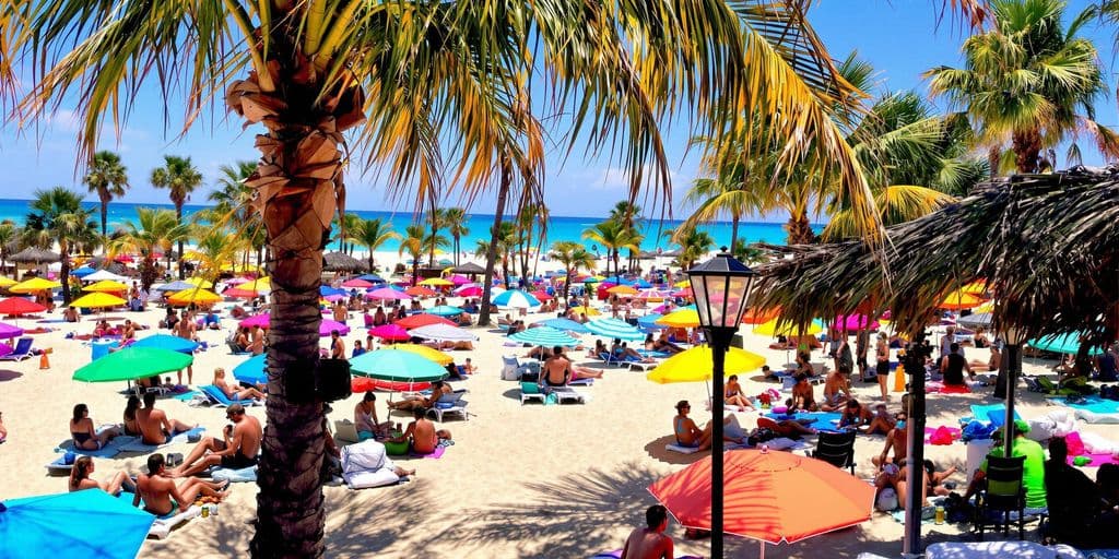 Affordable Fun in Cabo at Mayan Monkey Los Cabos