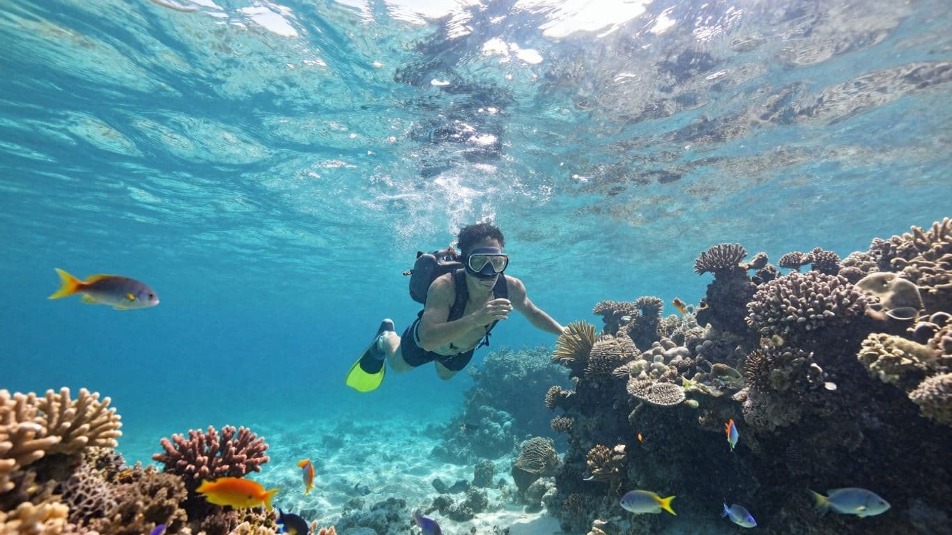 El Arco Cabo Tours: Best Way to See The Arch