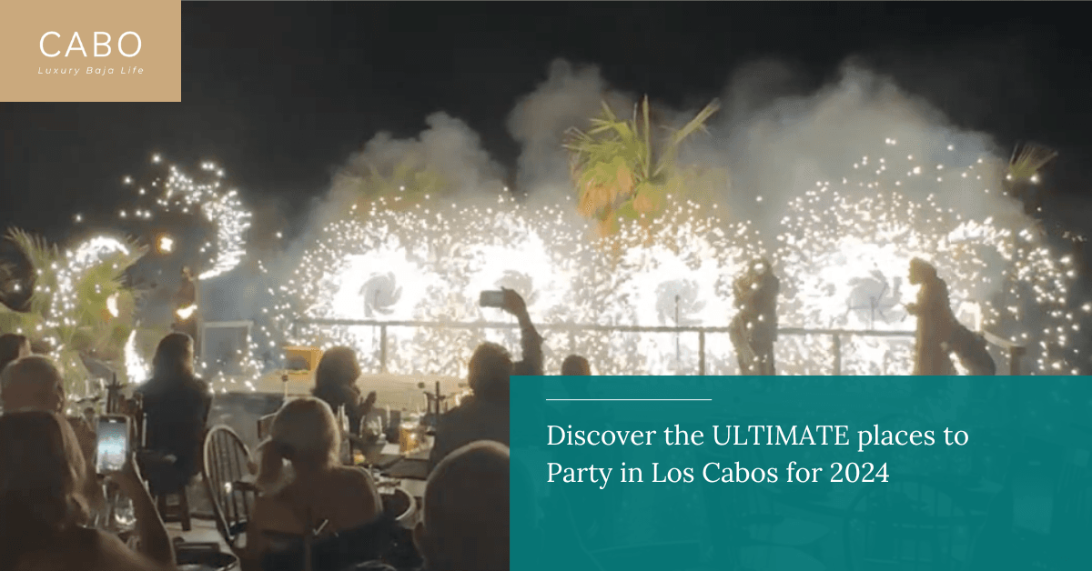 Where to Party In Cabo 2024