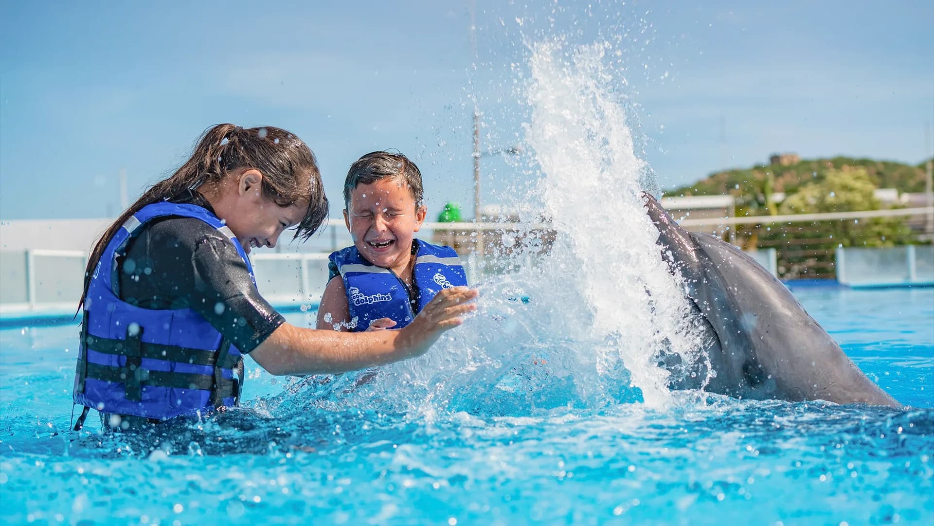 Cabo Whale Season 2026-2026: Complete Viewing Guide
