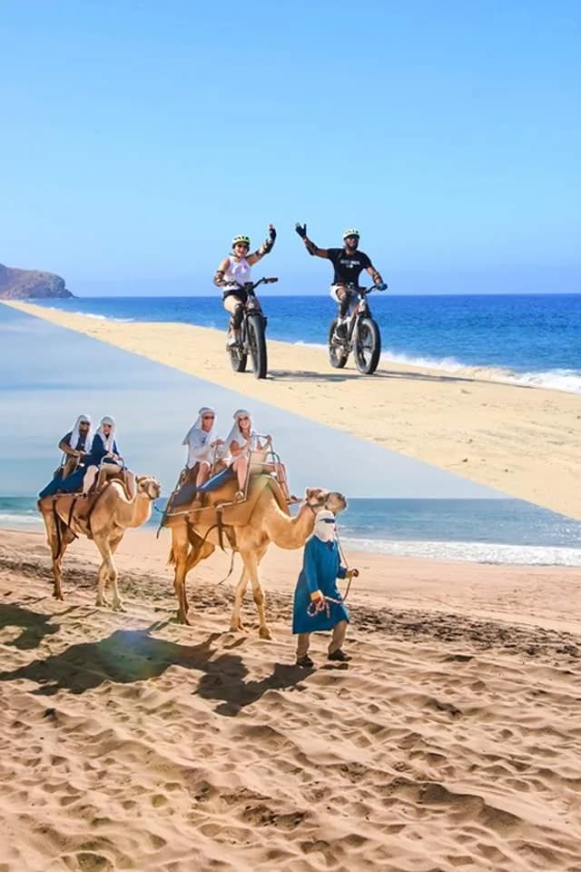 Hilton Los Cabos 2026 Beach and Gold Resort Guide