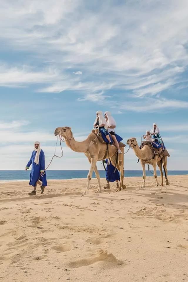 Outback & Cabo Camel Ride - adventure in Cabo San Lucas