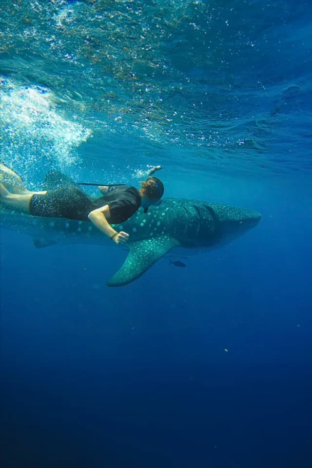 Insider Tips for Unforgettable Adventures in Cabo San Lucas 2026