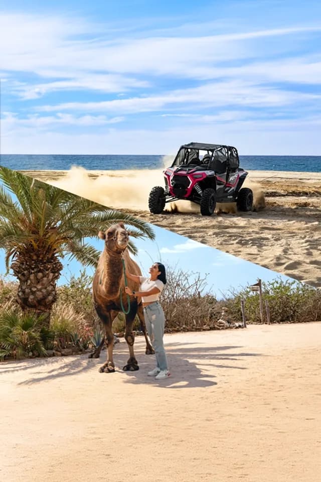 Cabo Luxury Resorts: What to Expect in 2026