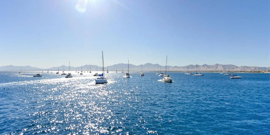 Cabo Activities Reviewed: What You Need to Know