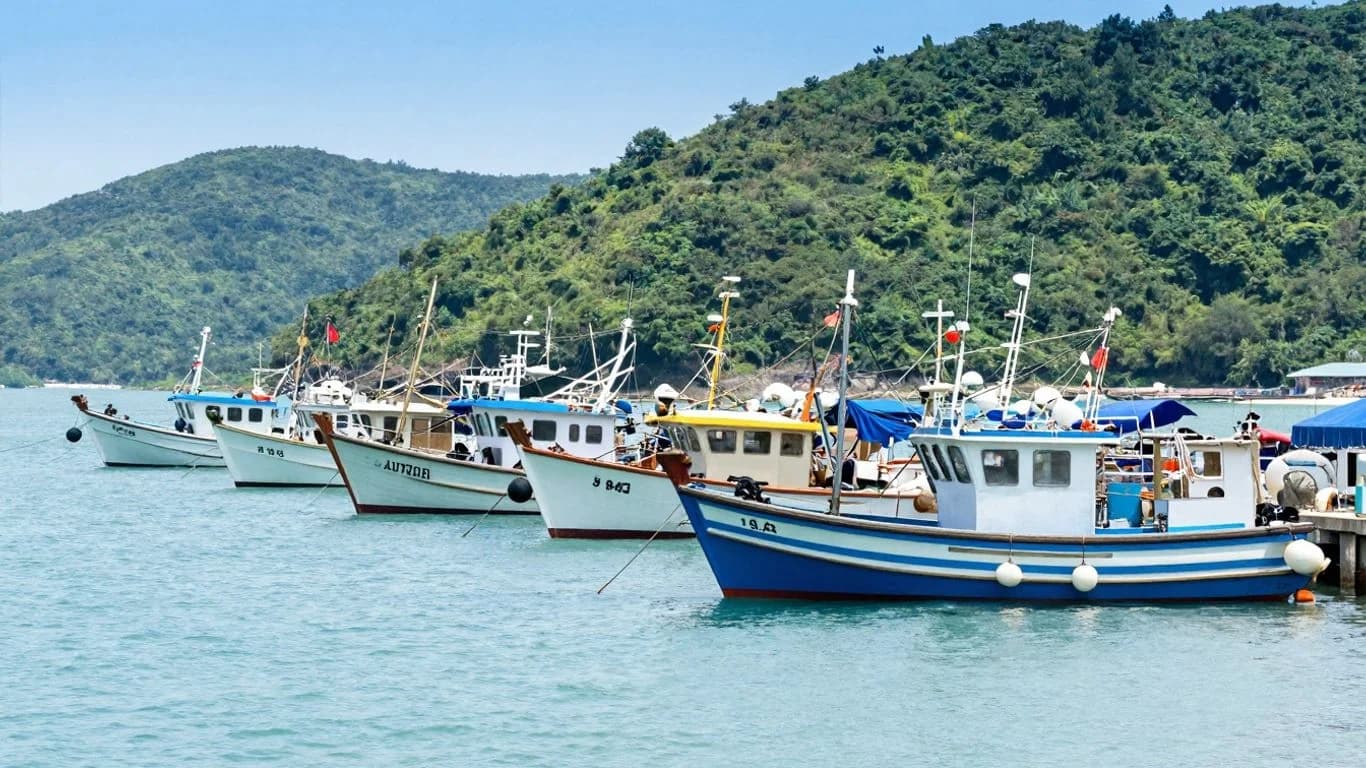 Cabo Fishing Boat Rentals: Prices by Boat Size