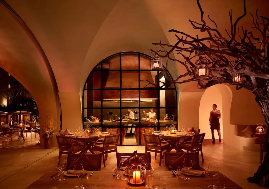 Arbol - restaurant in San José del Cabo