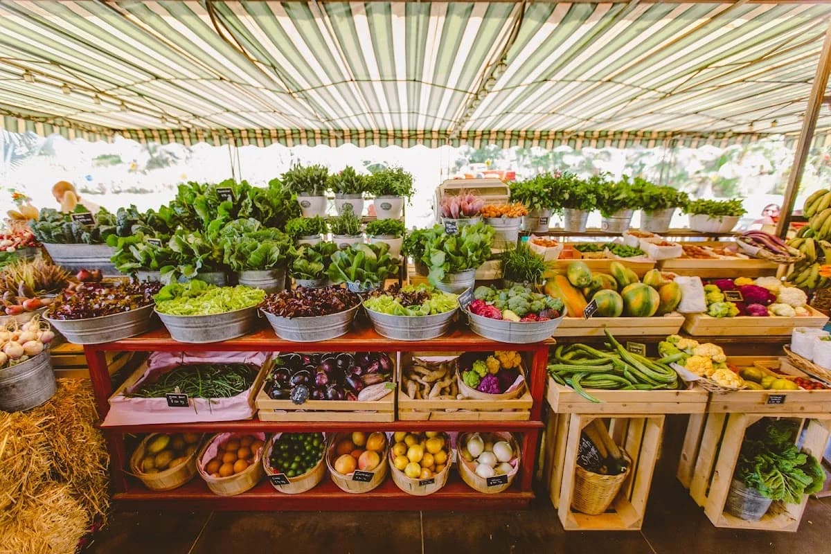 Flora Farms - restaurant in San José del Cabo