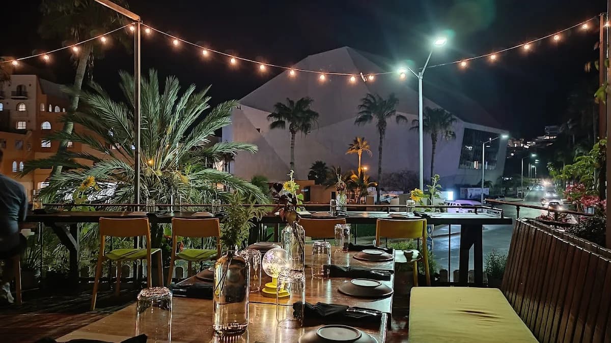 Outpost - restaurant in Cabo San Lucas