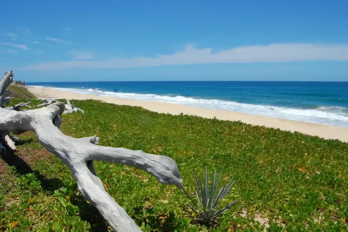 Cabo Destination Wedding Cost Breakdown 2026: Complete Guide