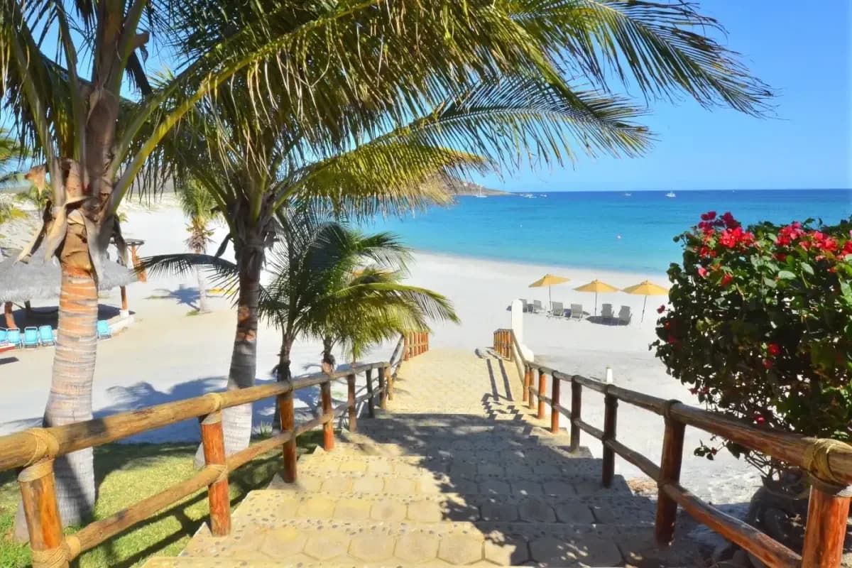 Elevate Your Escape: Find Your Premier Luxury Fitness Trainer in Cabo San Lucas for 2026