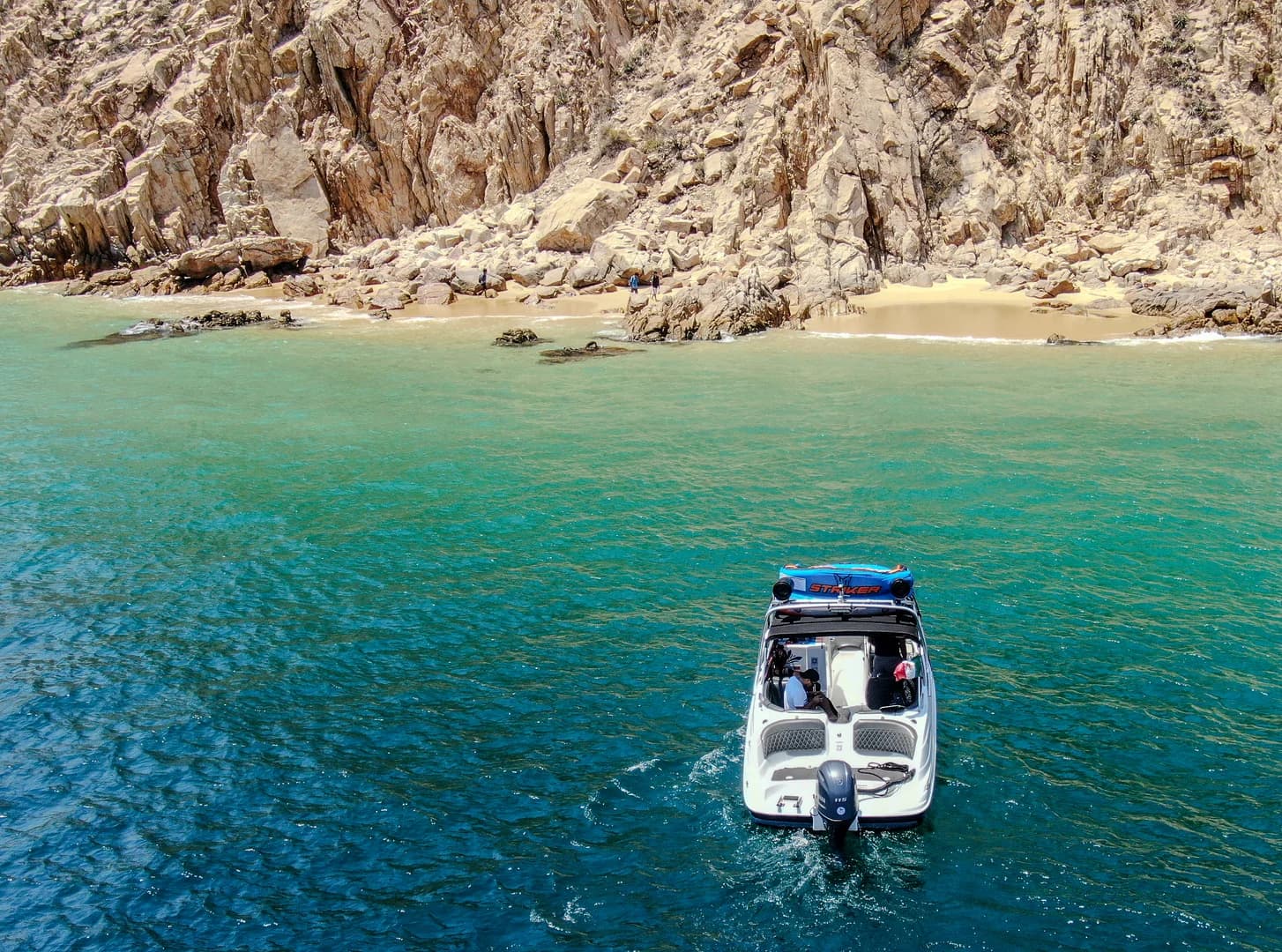 Your 2026 Expert Los Barriles Fishing East Cape Guide